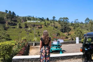 The Ultimate Sri Lanka Travel Checklist for a Stress-Free Vacation