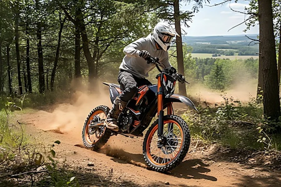 Electric Dirt Bike